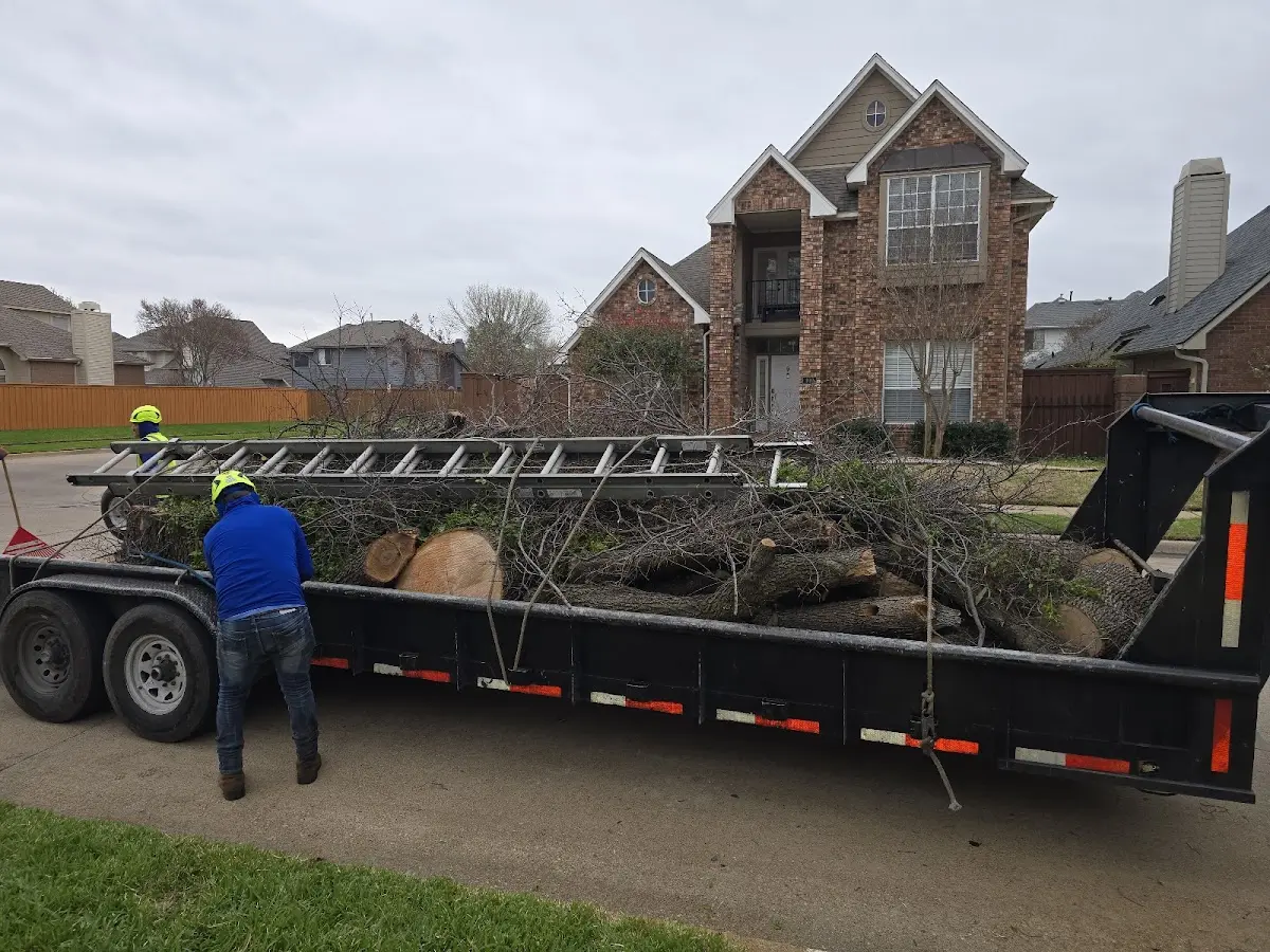 Expert Tree Pest Control with proper safety equipment in Bethesda